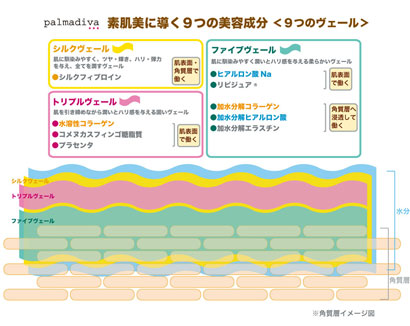 素肌美に導く9つの美容成分